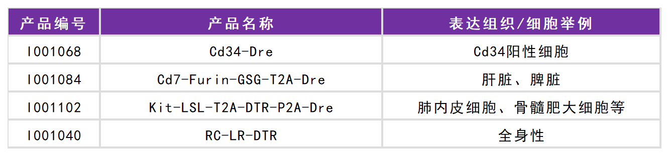 Cre工具鼠列表（精选）(图5)