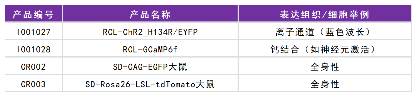 赛业生物工具鼠列表